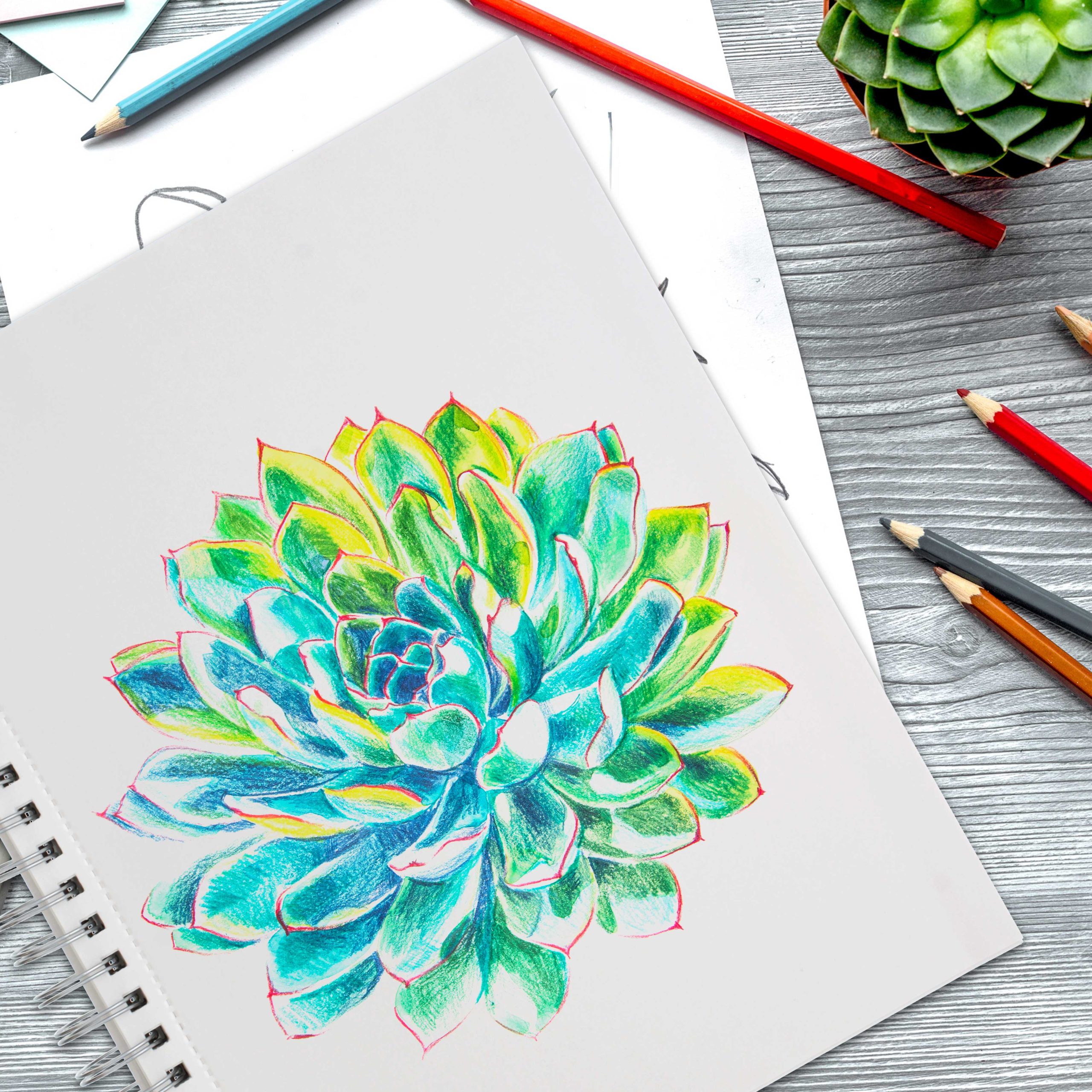 U.S. Art Supply 50 Piece Adult Coloring Book Artist Grade Colored Pencil Set with 2 - 9 x 12 Sketch Pads Drawing Paper - Sketching Shading Blending - Image 7